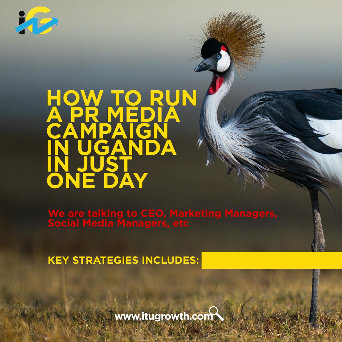itugrowthdms's tweet photo. Unlock the Power of Lightning-Fast Public Relations: Mastering One-Day Media Campaigns in Uganda
#uganda #kenya #tanzania #africa #rwanda #kampala #nigeria #zambia #arusha #southafrica #burundi #eastafrica #digitalmarketing #marketing #socialmediamarketing #seo https://t.co/ctVkXui1Zr
