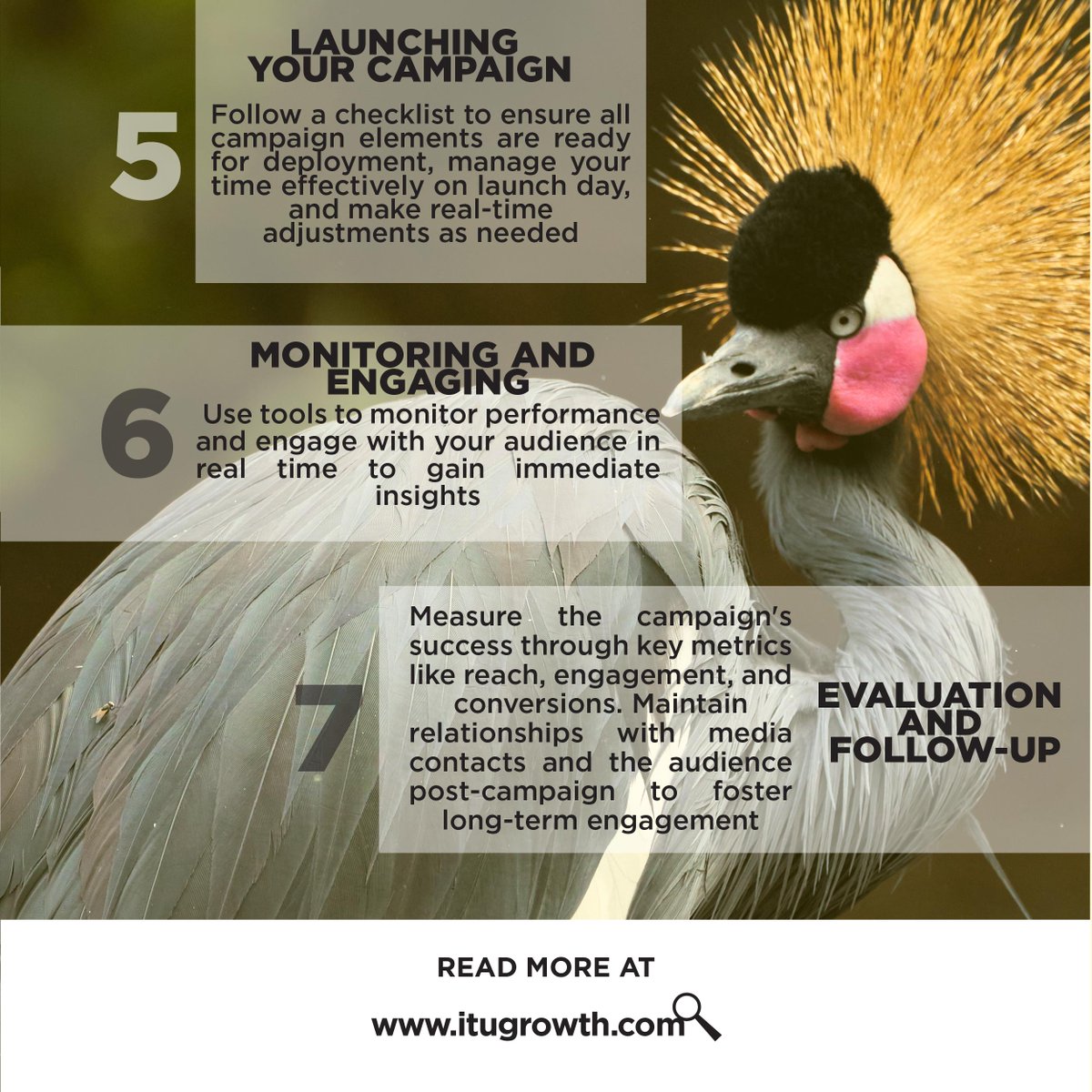 itugrowthdms's tweet photo. Unlock the Power of Lightning-Fast Public Relations: Mastering One-Day Media Campaigns in Uganda
#uganda #kenya #tanzania #africa #rwanda #kampala #nigeria #zambia #arusha #southafrica #burundi #eastafrica #digitalmarketing #marketing #socialmediamarketing #seo https://t.co/ctVkXui1Zr