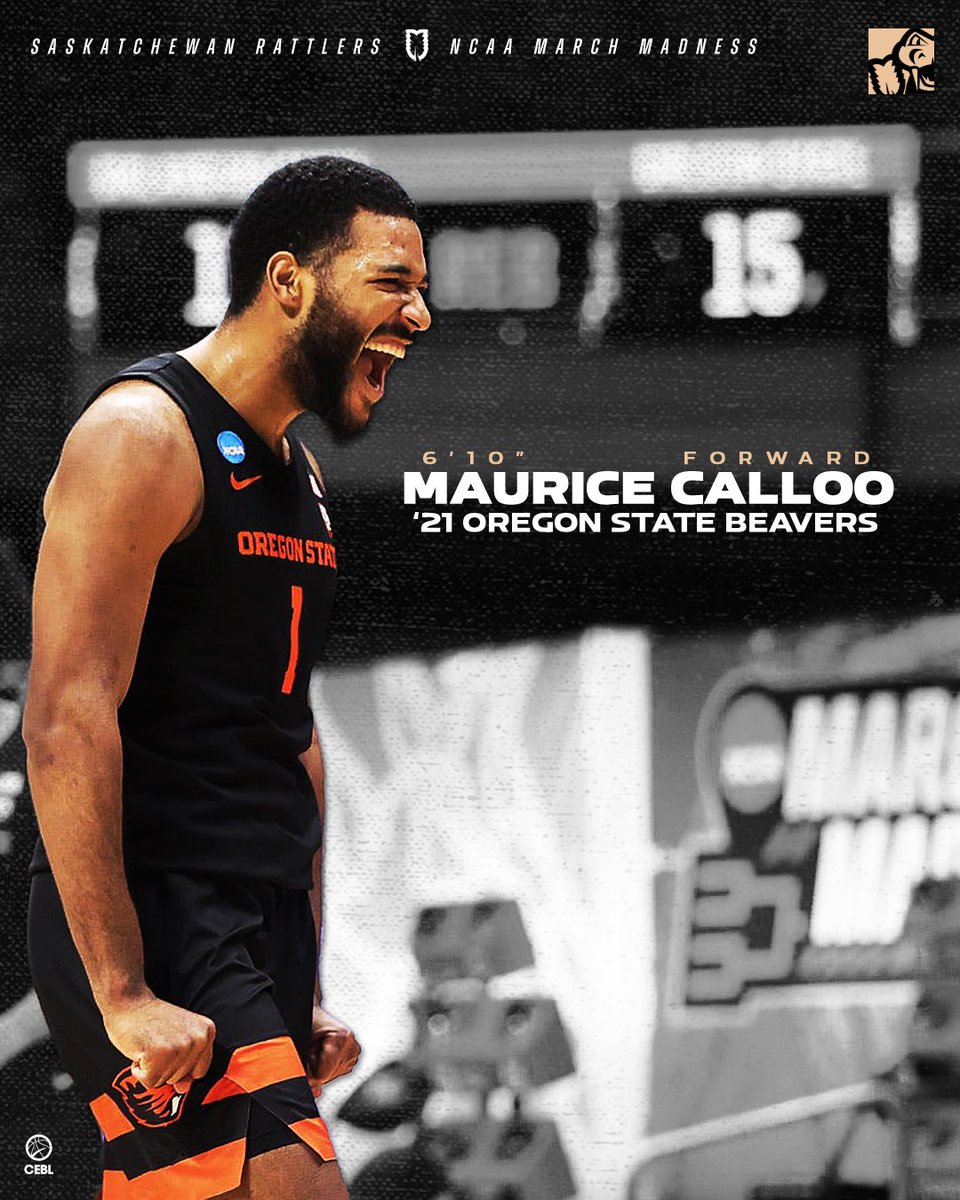 In 2021, Calloo ⁣⁣⁣⁣helped grab <a href="/BeaverMBB/">Oregon State Hoops</a> their first-ever PAC-12 Championship with 15 pts, 3 reb with 54.5 FG% - punching a ticket to <a href="/MarchMadnessMBB/">NCAA March Madness</a> 

The Beavers appeared in the Elite Eight - first since 1963.⁣⁣
⁣⁣
#FearTheFang | #LetsBall