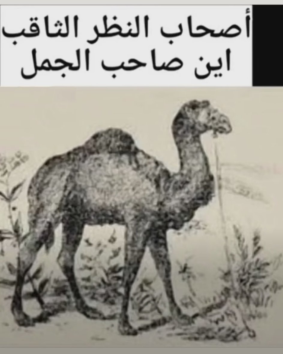 asam171959's tweet photo. 🤣😂👌👌👌 https://t.co/ZZaIuwgO1c