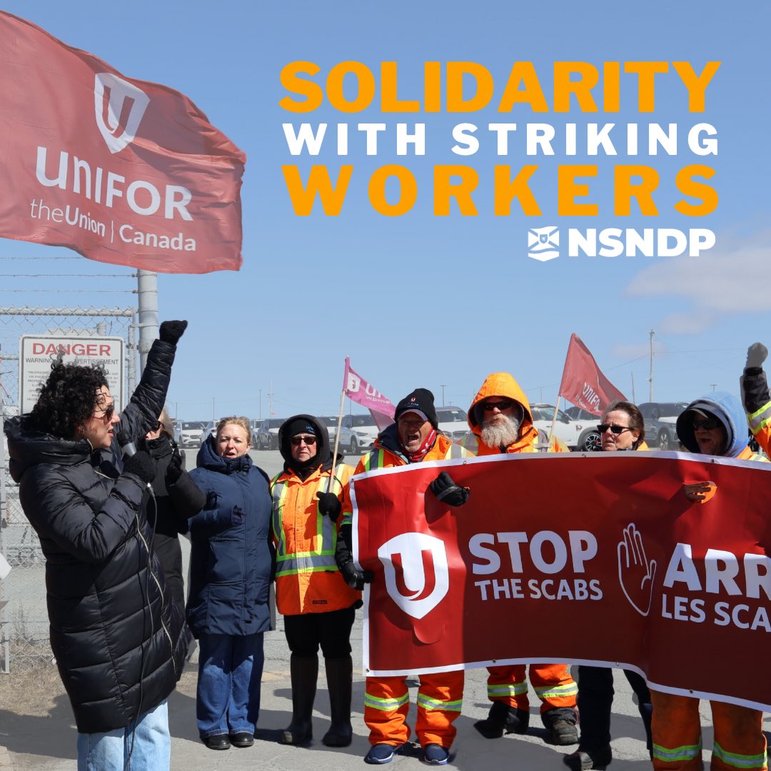ChenderClaudia's tweet photo. Tim Houston says that he supports collective bargaining but he won't ban scab labour. If he really supported workers, he would pass our anti-scab labour bill like the Feds. #Solidarity @UniforTheUnion https://t.co/0PkAGnTHRd