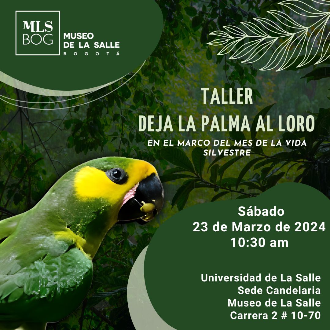 En el marco del mes de la Vida Silvestre este próximo Sábado 23 de marzo de 2023 a las 10:30 am tendremos el Taller Deja la palma la loro en el cual abordaremos a través de una experiencia la vida de las poblaciones de loros en el país.

No te la pierdas. Te esperamos

<a href="/unisalle/">Unisalle</a>