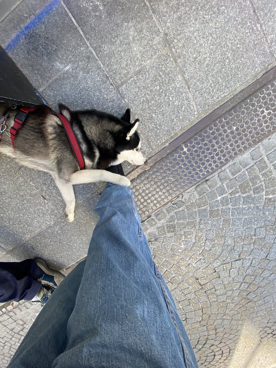 Nusky 2 coming sooooon