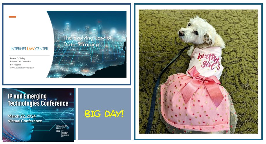 InternetLawCent's tweet image. Big Day today!  Presenting on #DataScraping at the CLA IP Section program on #IPandEmergingTechnologies and celebrating 9 years with my precious rescue dog Gidget.  #CLA_IP