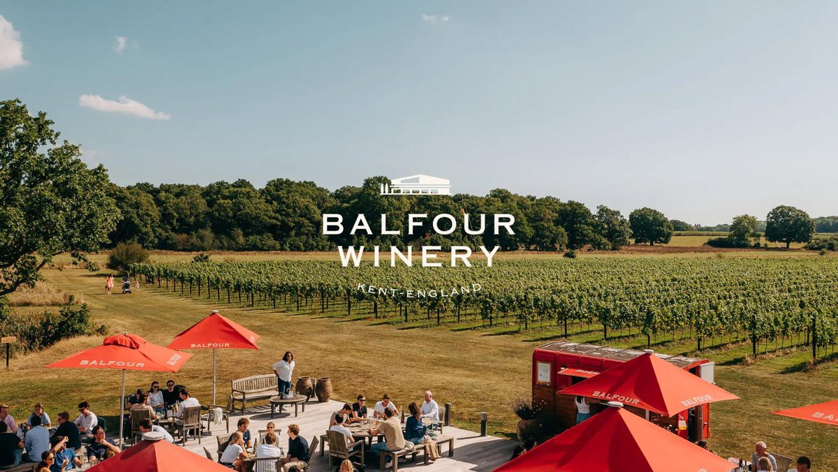 Introducing our brand new logo at Balfour Winery. The evolution of our brand showcases what makes Balfour truly special; our home. Our biggest asset as a brand is our incredible winery – and our 400 acres of wildflower meadows, ancient woodlands, orchards and vineyards.