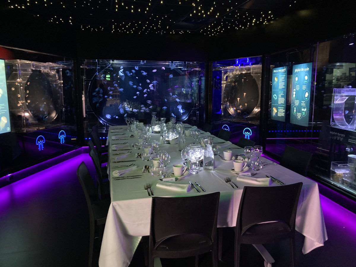 FreyaGx's tweet photo. First time this beautiful setting @TheDeepHull has hosted a dinner and I’m delighted to be one of the guests #jellyfish #celebration #specialmeal https://t.co/ob4Ry0SAqK