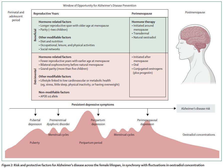 TheLancetEndo's tweet image. We use the proposed framework to highlight how sex #steroid exposure and a depressive history across the #reproductive years might influence the risk and disease trajectory for #Alzheimer&apos;s disease in #females thelancet.com/journals/landi… 
#oestradiol #depression #WomensHealth