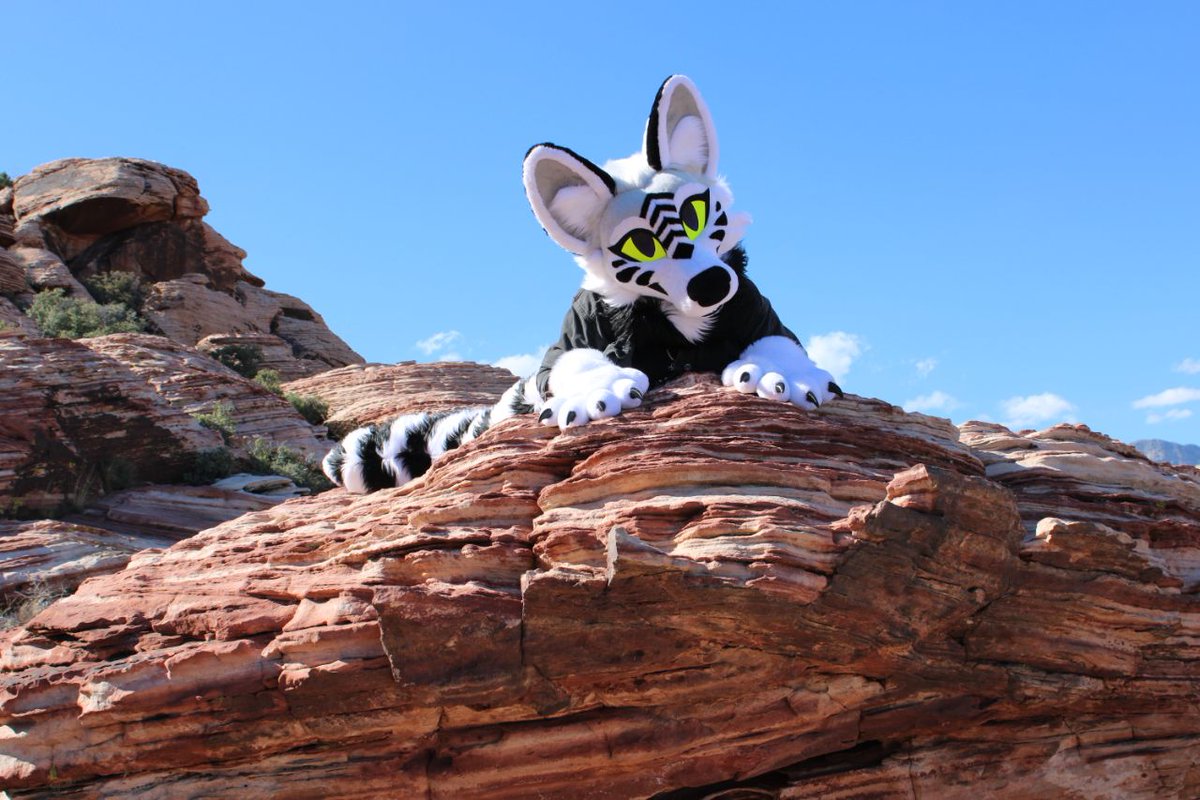 💫Black and White Fox Partial💫✨️
 for sale!
Asking $3,000+shipping.
Open to offers.
Payment plans are available and negotiable.
Full payment upfront preffered.
Includes Head, Hand Paws, Tail, character ref and character rights.
Head fits 23"-24" tight fit.
Teeth and claws are