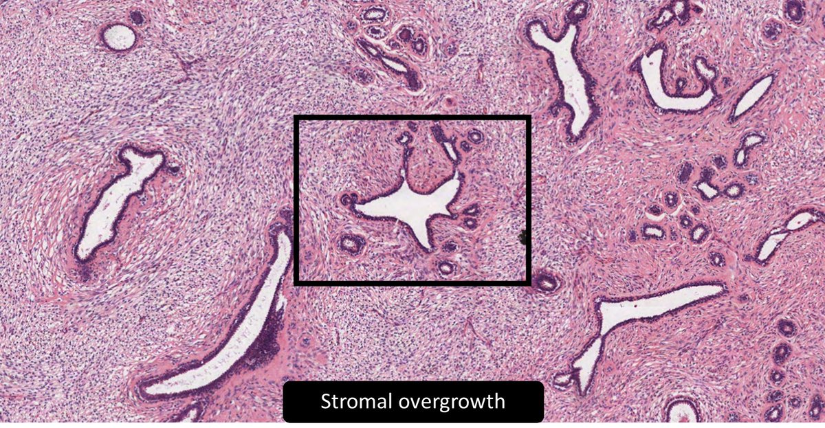 DrCycloPath tweet picture