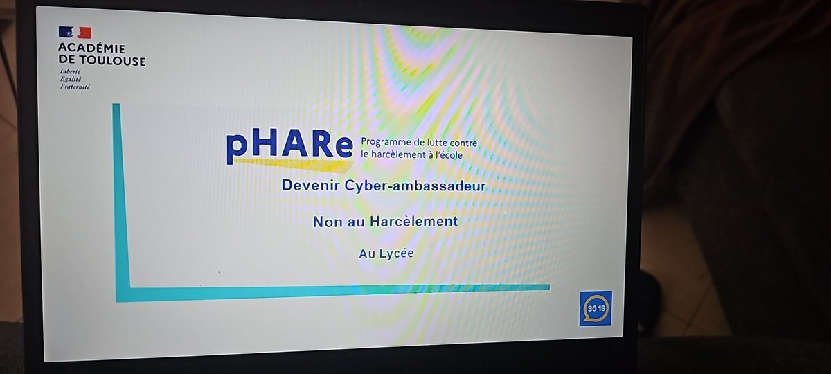 Une journée qui se termine de formation. Merci au @LyceeHessel31 pour son accueil des cyberambassadeurs. Le début d'une nouvelle aventure portée par le pôle académique de lutte contre le harcèlement qui permet de coordonner tous les acteurs @DaneTlse @Clemi_Toulouse, Ems...