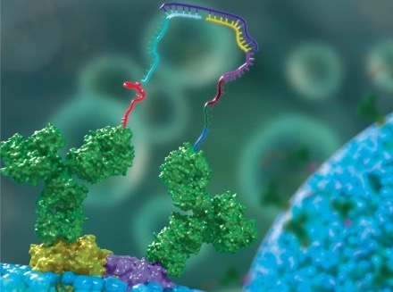 Savas Tay (@savastay_uchi) on Twitter photo Postdoc opportunity on 3D spatial proteomics! Tay Lab and Josh Weinstein lab are looking for a joint postdoc to develop this amazing new technology. Position is generously supported by CZ Biohub Chicago, with exceptional pay and benefits: jobs.sciencecareers.org/job/656483/pos… Postdoc opportunity on 3D spatial proteomics! Tay Lab and Josh Weinstein lab are looking for a joint postdoc to develop this amazing new technology. Position is generously supported by CZ Biohub Chicago, with exceptional pay and benefits: jobs.sciencecareers.org/job/656483/pos…