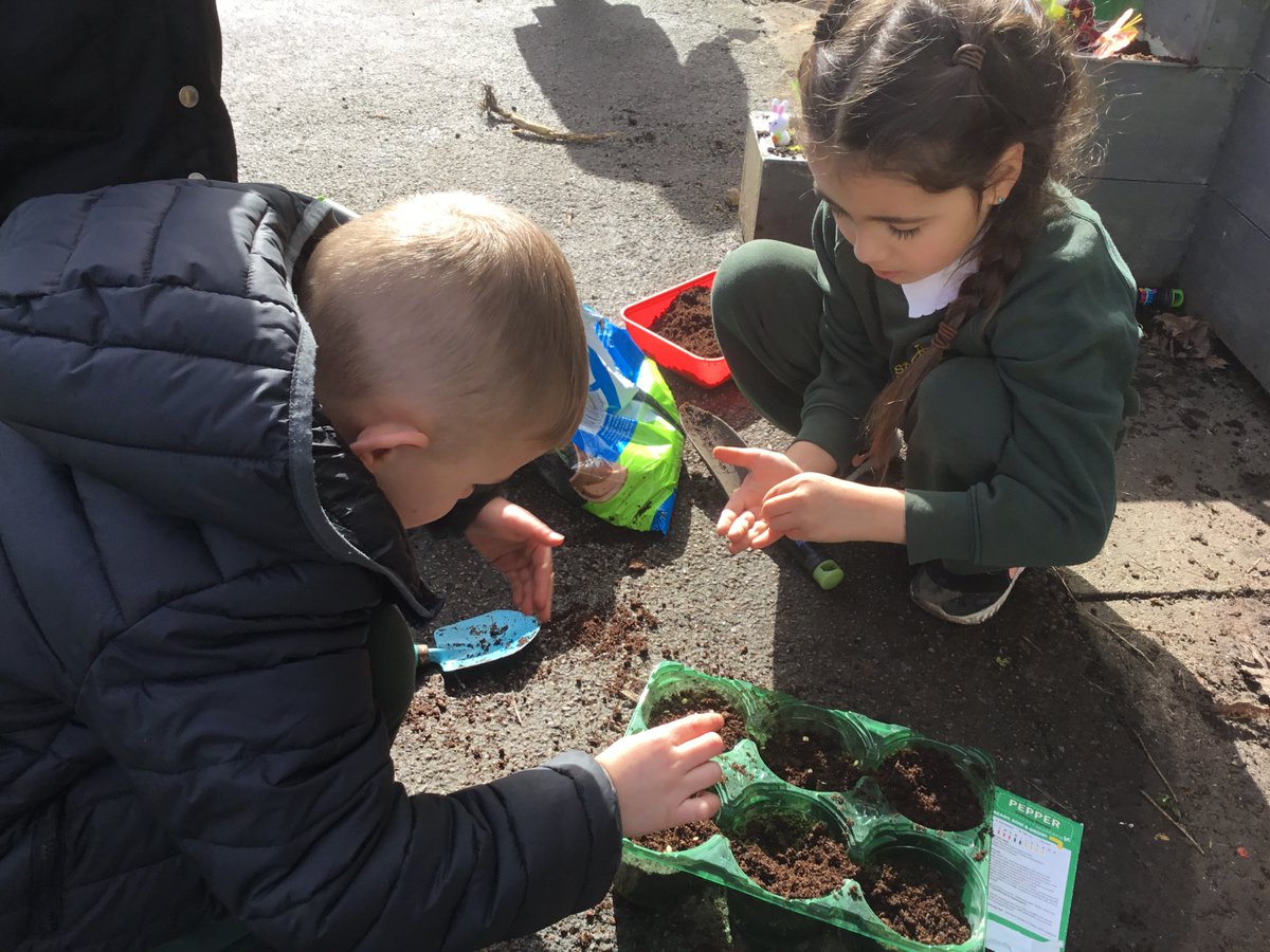 St Patrick's FS tweet media