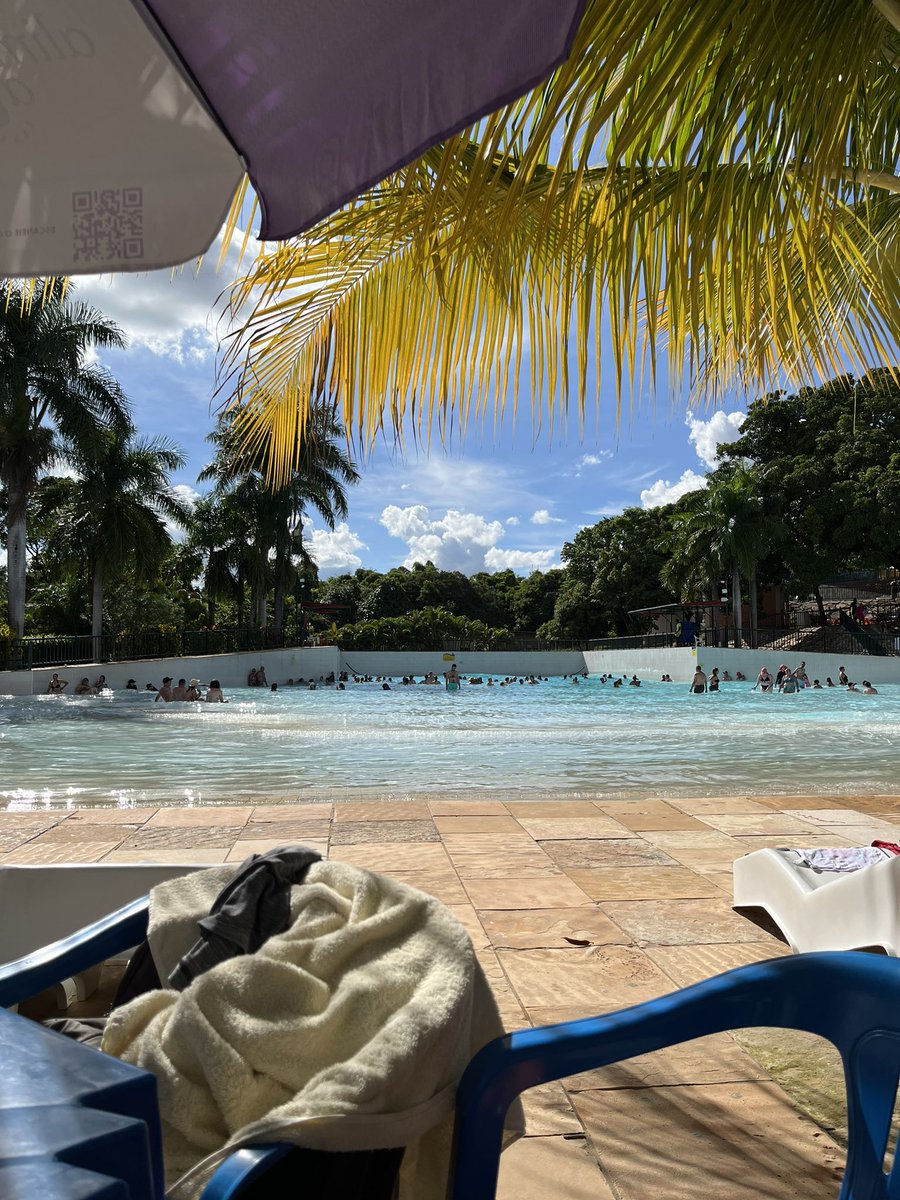 ribeirigor's tweet image. #paz