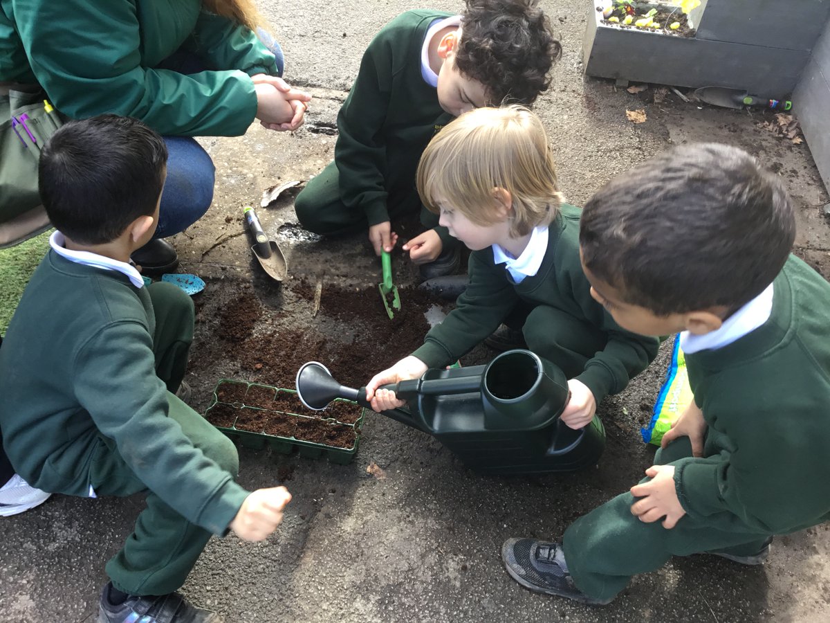 St Patrick's FS tweet media
