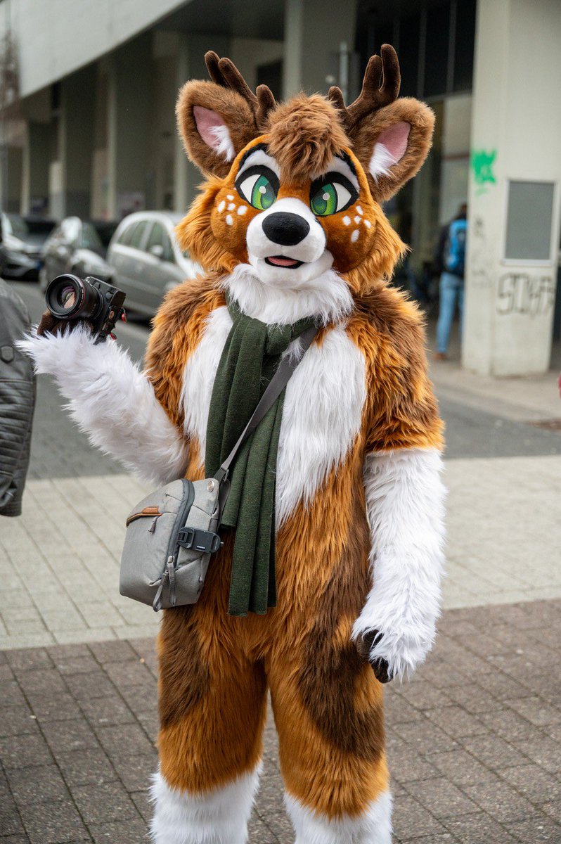 On my way of taking the #FursuitFriday pic for today for you. 📸 @Fusselgenerator