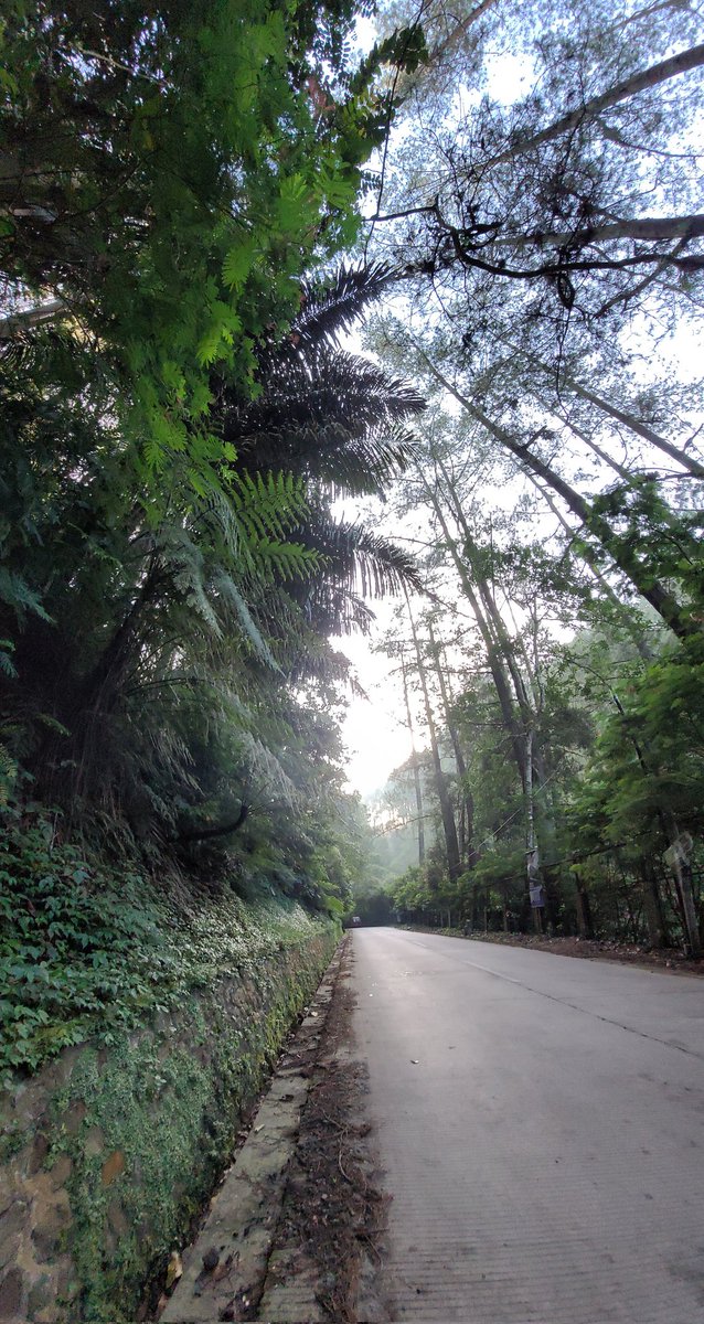 setyonegoro84's tweet photo. @BaseBDG S21 https://t.co/8JENGqLuoV