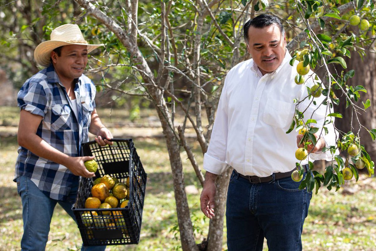 RenanBarrera's tweet photo. En #Yucatán vamos a trabajar para hacer más eficiente el uso del agua respetándola a través de la infraestructura adecuada para el riego responsable del campo garantizando la productividad agrícola y la armonía con el medio ambiente. #DíaMundialDelAgua 💧 https://t.co/hrPLaSC94u