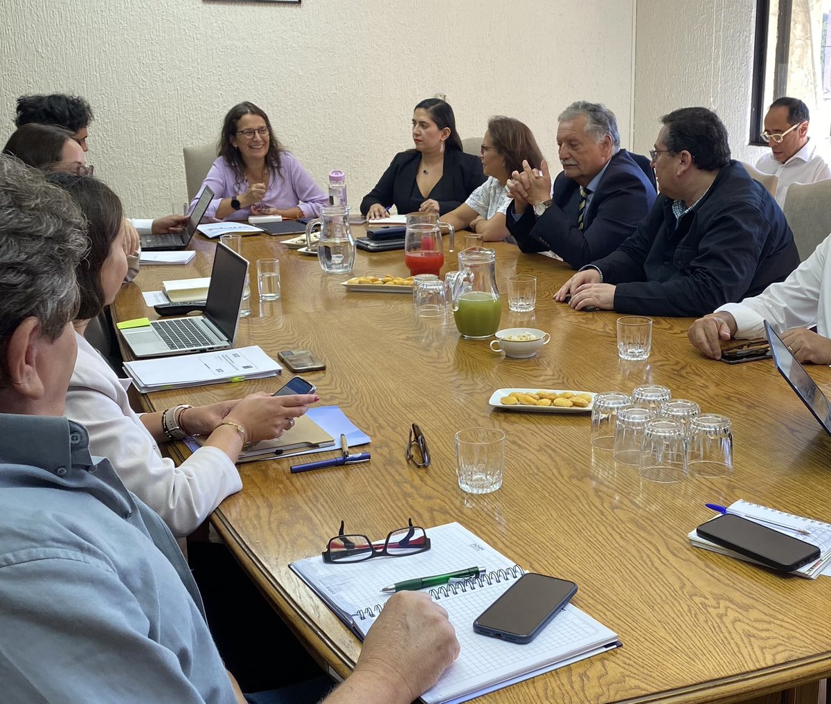 Director ejecutivo de @amur_chile, @ccgonzalezt, asistió a reunión donde se expusieron los contenidos de la nueva versión del proyecto de ley elaborado para introducir ajustes en la Nueva Educación Pública, actividad encabezada por la subsecretaria <a href="/AleArratiaM/">Alejandra Arratia Martínez</a>