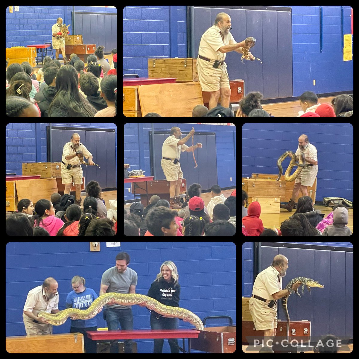 WMES Community tweet media