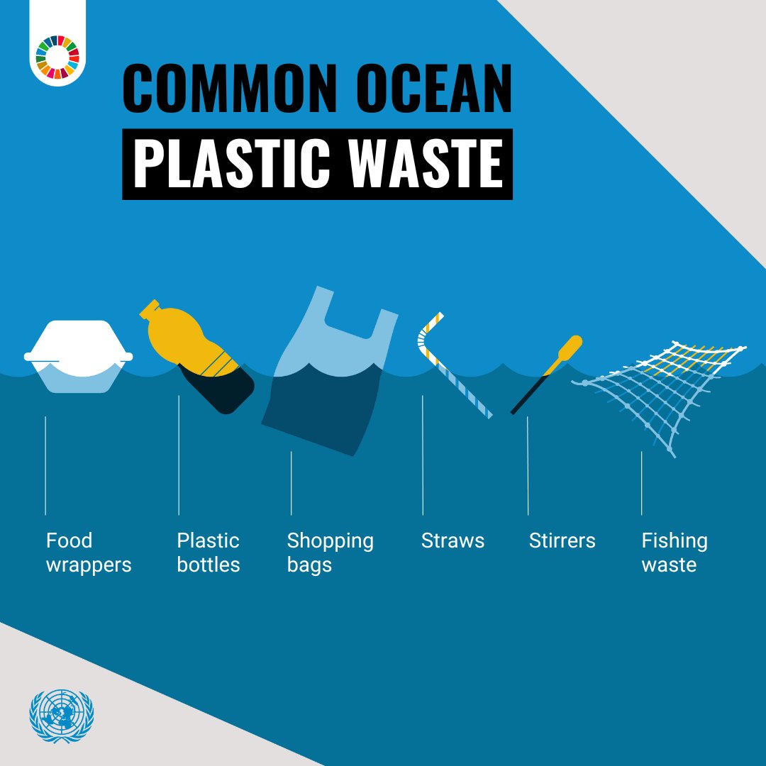 By 2050, there could be more plastic than fish in the ocean.

A healthy ocean benefits everyone &amp; can help achieve the #GlobalGoals.

See how you can #ActNow to #SaveOurOcean: un.org/sustainabledev…