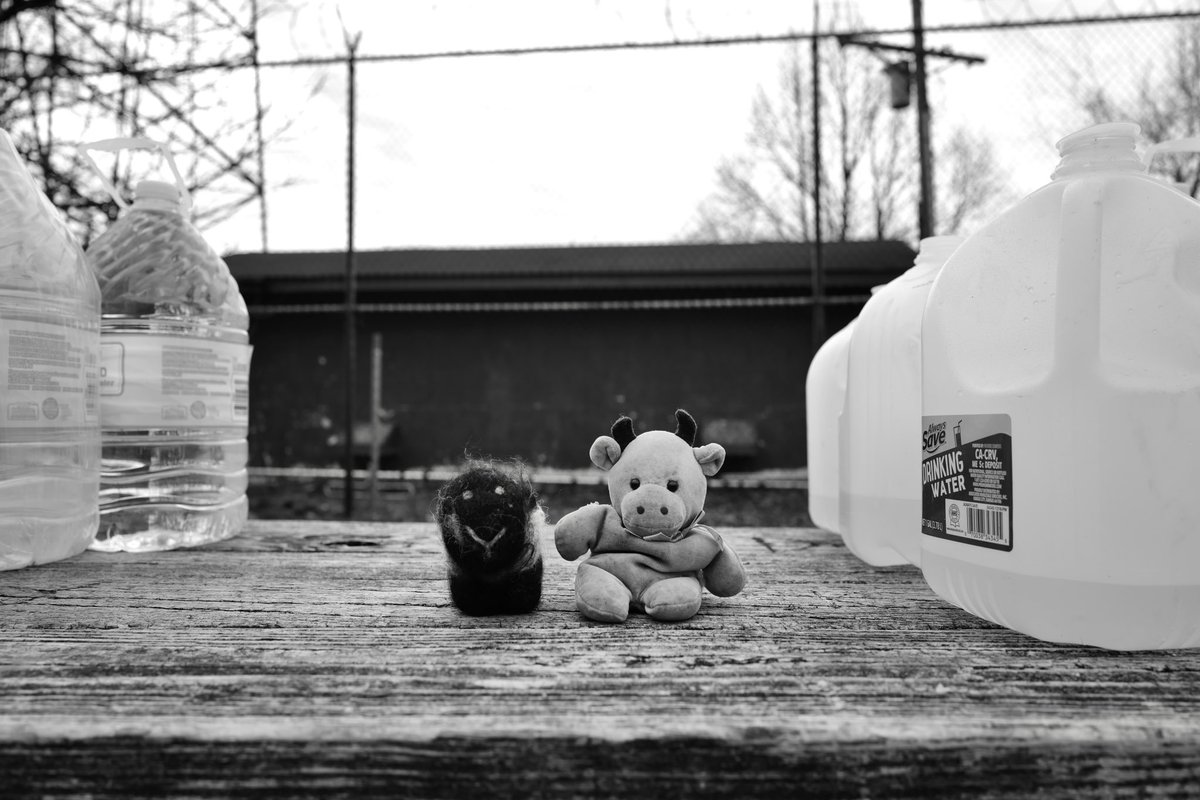 dav1dmiller's tweet image. Jasmin Paris has just passed the tower during loop 5 of the Barkley Marathons. We are witnessing history 🥲

#bm100 #smalleuropeanwoman 

📸 instagram.com/davidmiller.ph…