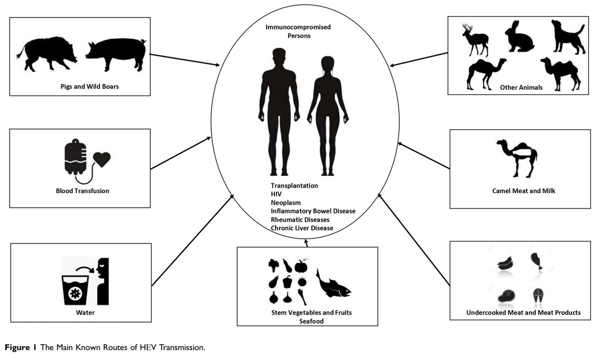 melarsoprol7 tweet picture