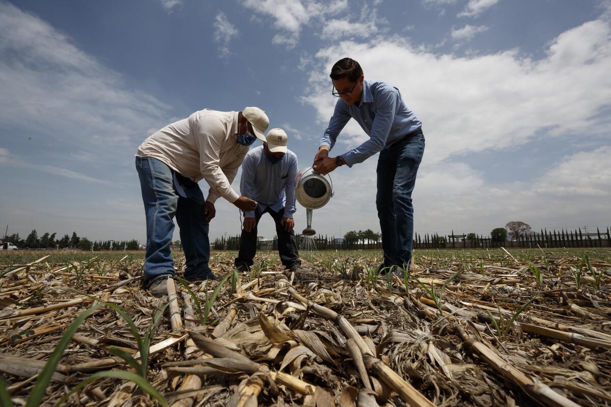 RevTrinchera's tweet photo. 👩🌾 Alimento para pocos: qué significa el cierre del #INAFCI
🔗 https://t.co/t0aZIjfzYi https://t.co/fKTJYspUzN