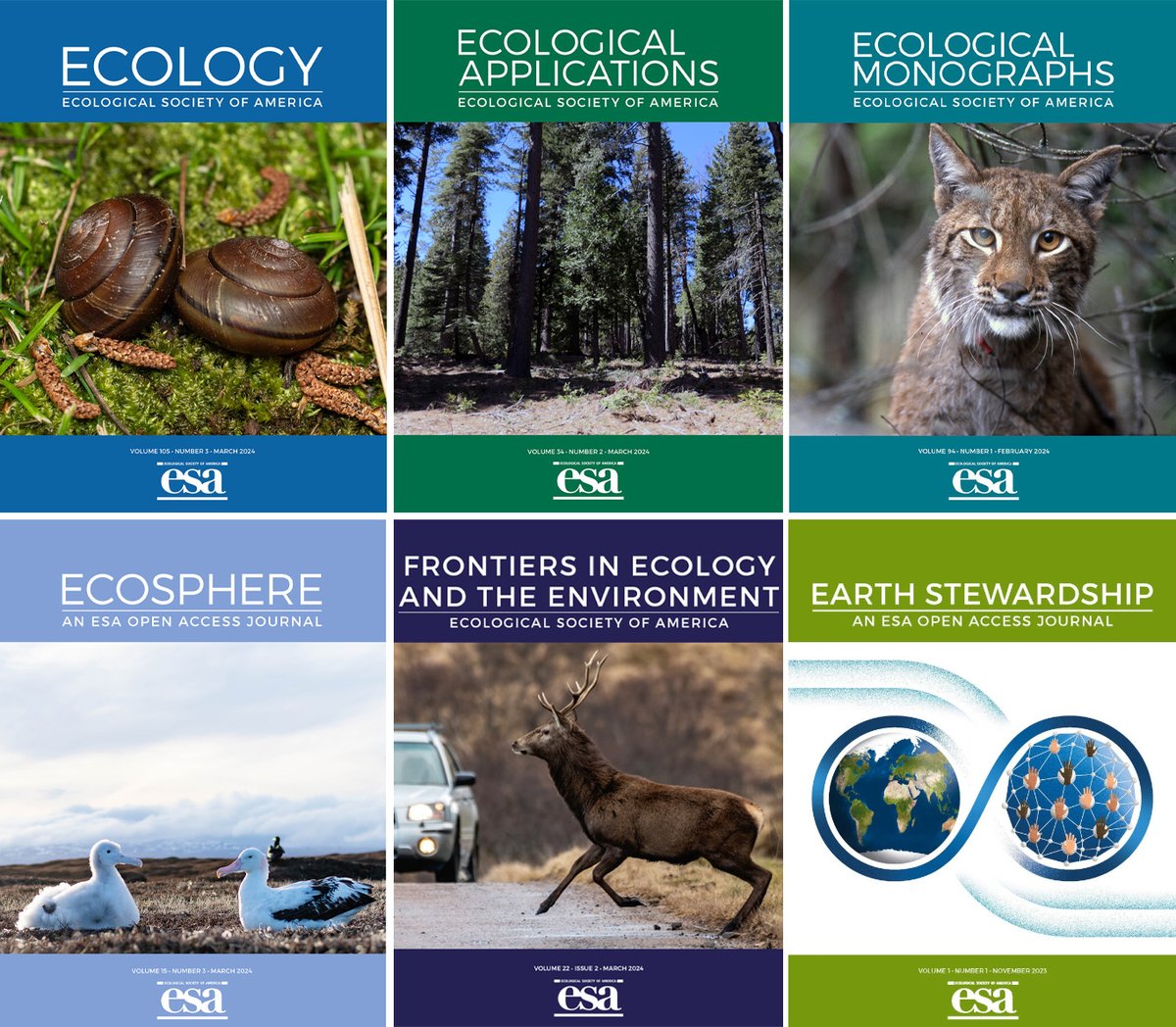 New in the @ESABulletin: ESA presidents past & future discuss today's publishing landscape and offer 2⃣ big reasons to submit your next paper to an ESA journal doi.org/10.1002/bes2.2… @se_hampton @Foggykak @ESAEcology @ESAApplications @ESAMonographs @ESAFrontiers @ESAEcosphere