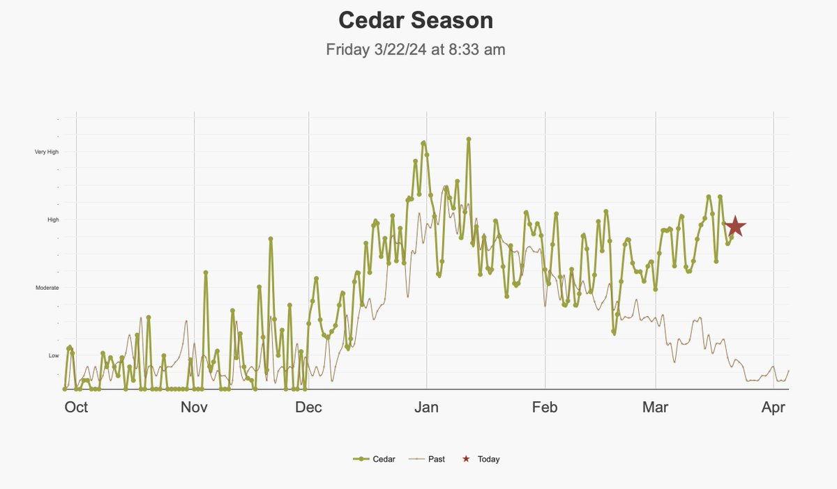 maybe it's El Niño? cedar is supposed to just peak in January then fall. not...this...