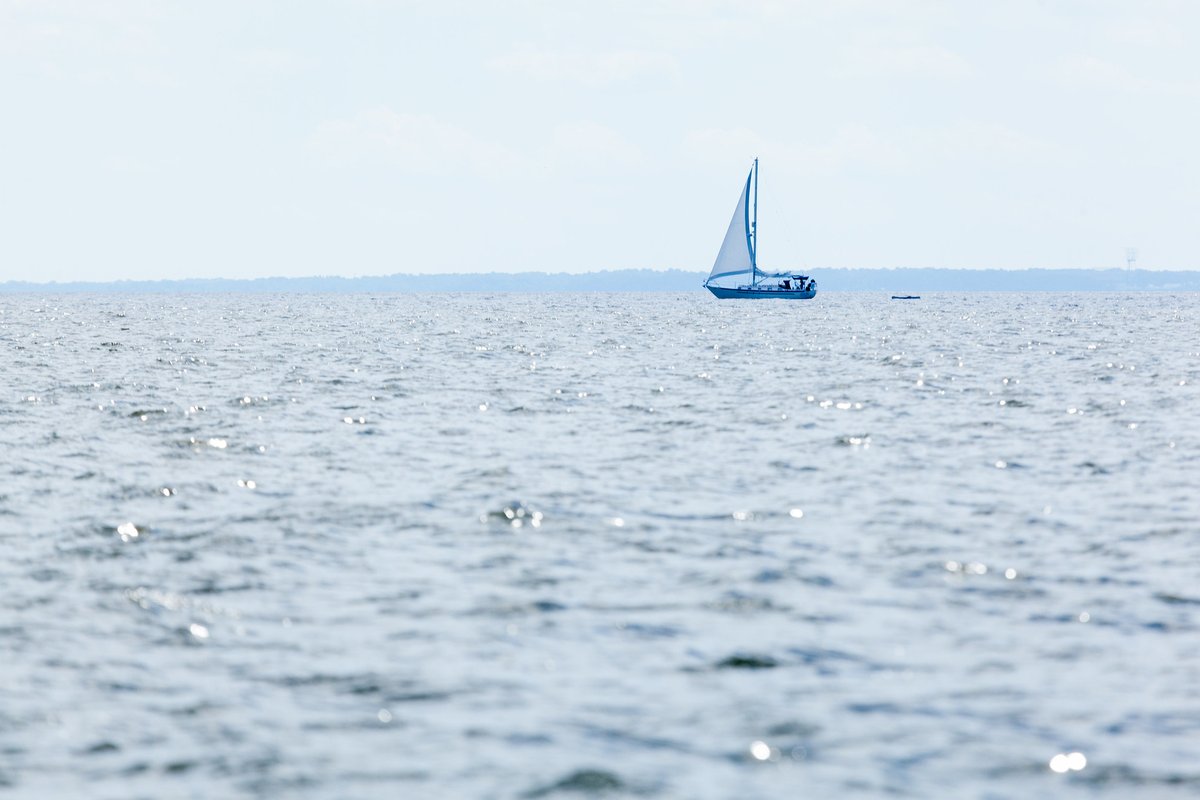 Happy #WorldWaterDay! The Bay receives about half its water volume from the Atlantic Ocean in the form of saltwater. The other half (freshwater) drains into the Bay from the enormous 64,000-square-mile watershed

📸Will Parson/Chesapeake Bay Program