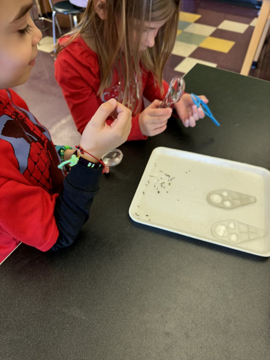 Jennifer Perrotti tweet media