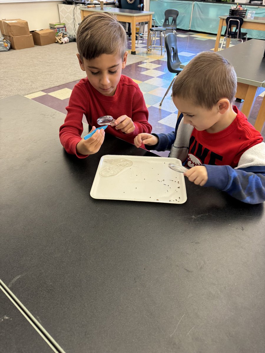 Jennifer Perrotti tweet media