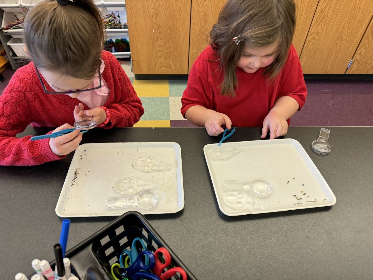 Jennifer Perrotti tweet media