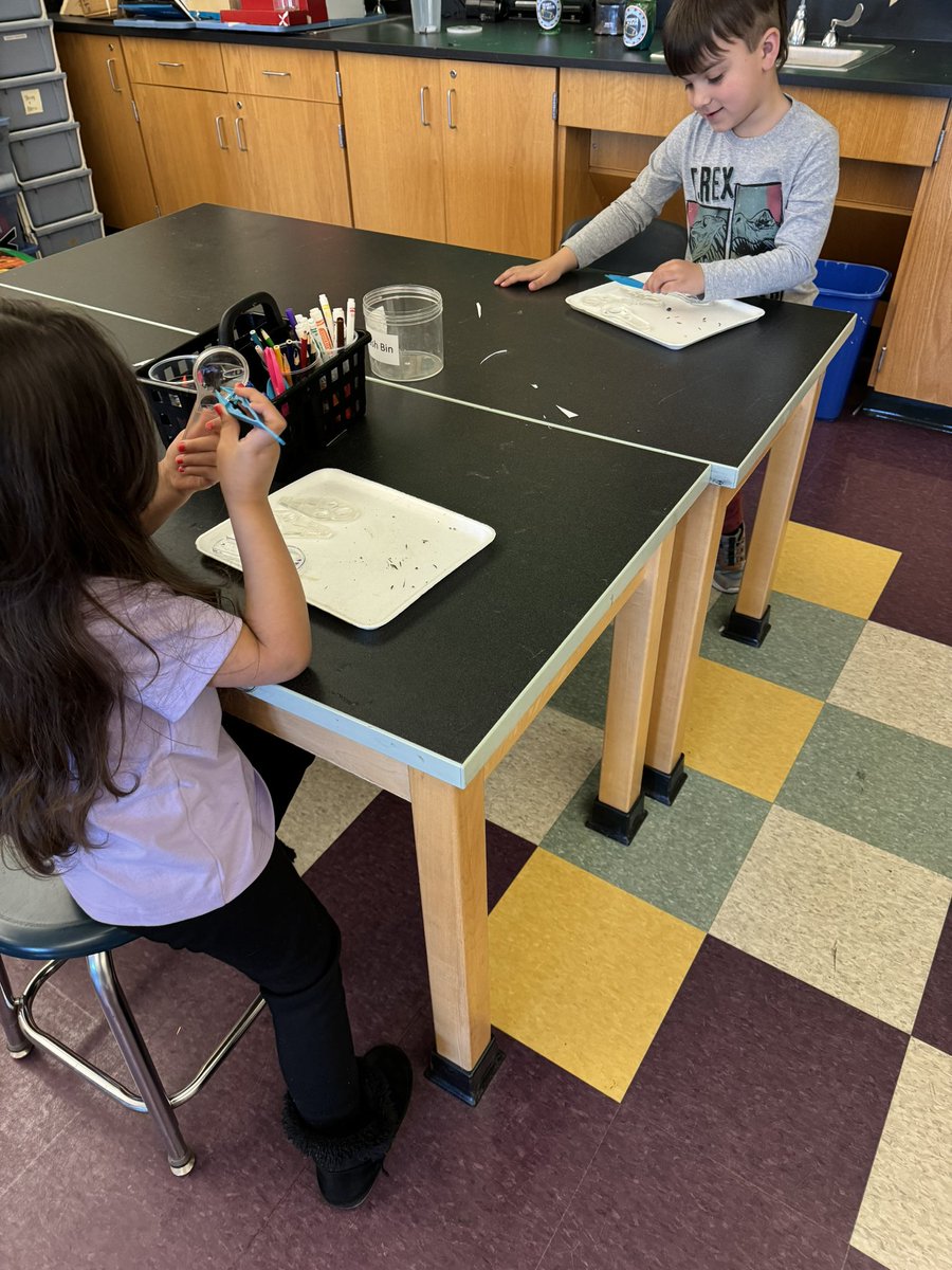 Jennifer Perrotti tweet media