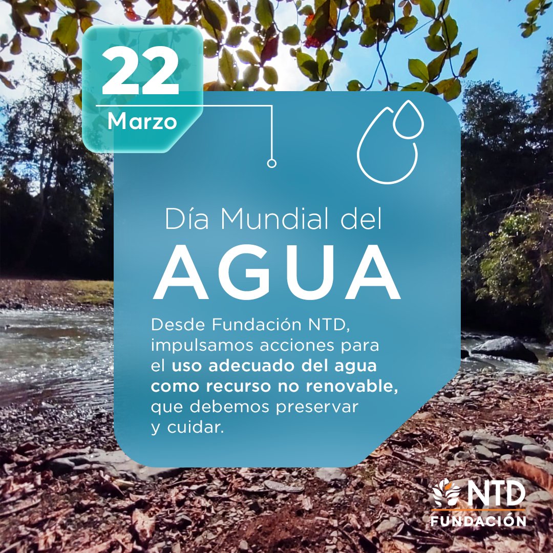 Fundacion NTD tweet media