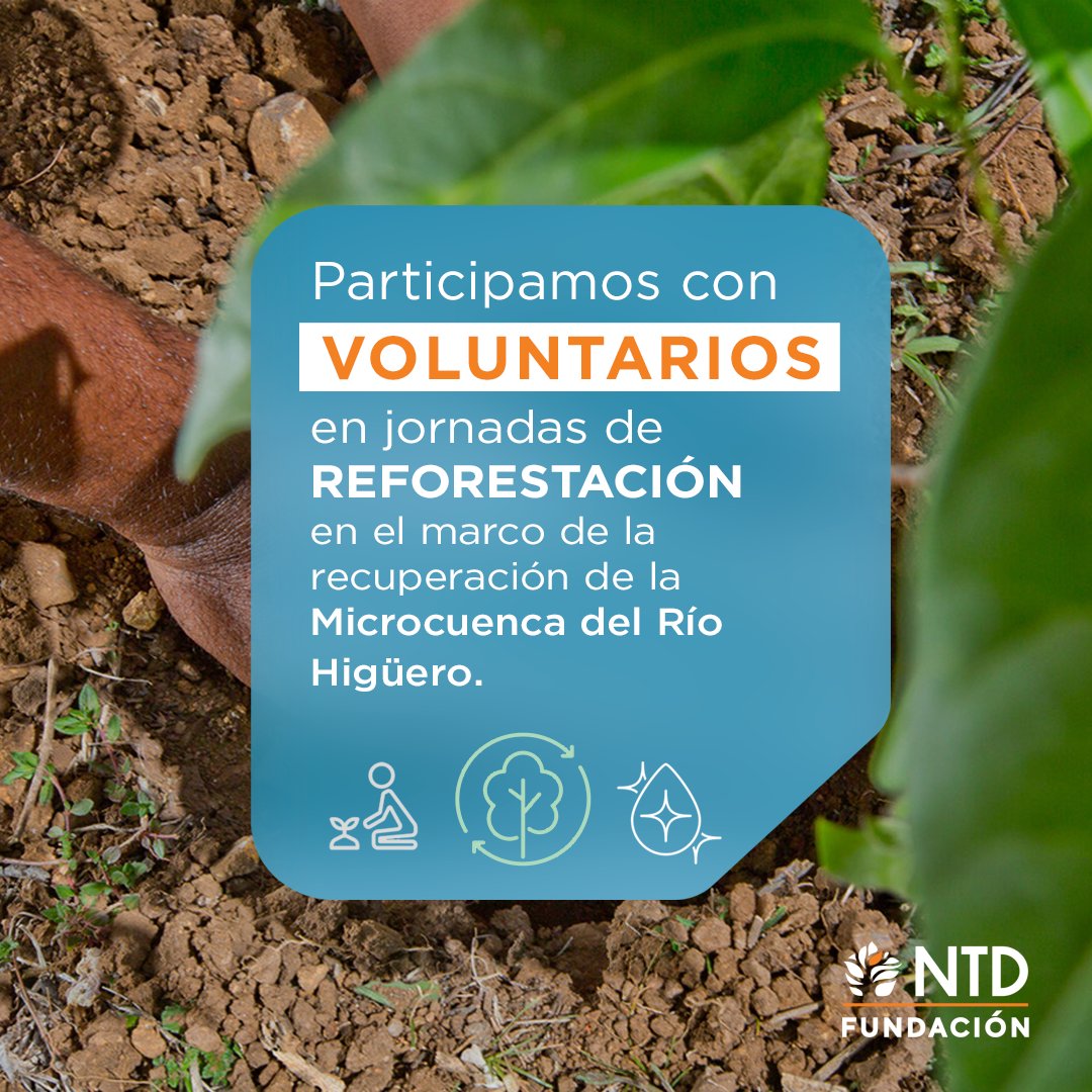 Fundacion NTD tweet media