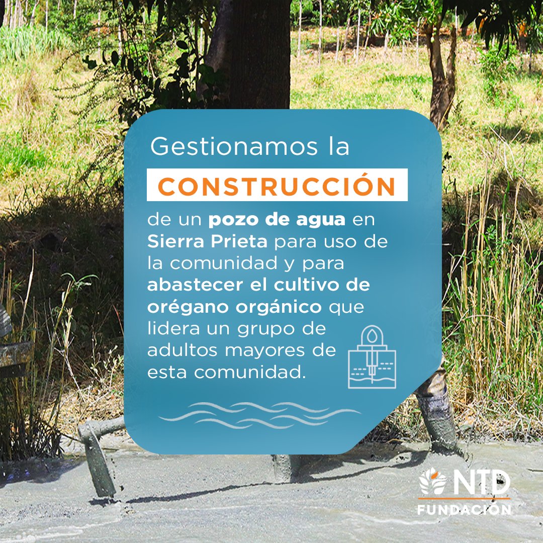 Fundacion NTD tweet media