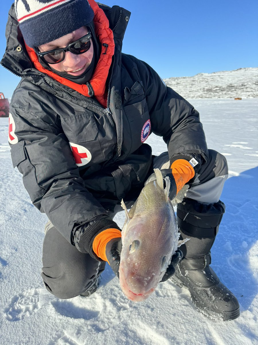 ArchwayDiva's tweet image. Ice fishing on Kangerlussuaq Fjord 🇬🇱 #codpiece #minus20 ❄️🐟