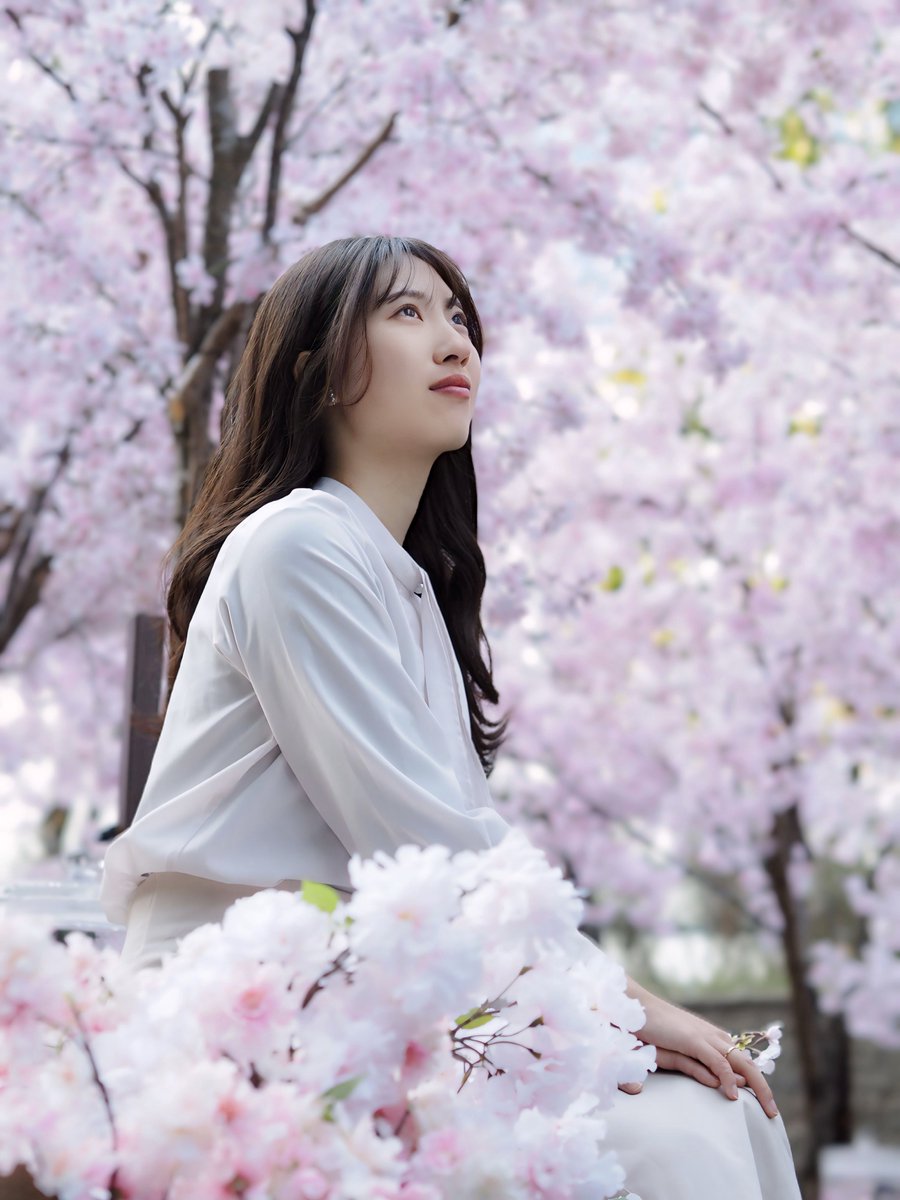 megu00912's tweet photo. 🌸

#ポートレート 
#ポートレートモデル 
#ポートレート写真 
#被写体 
#キリトリ世界 https://t.co/SIOKo33KAA
