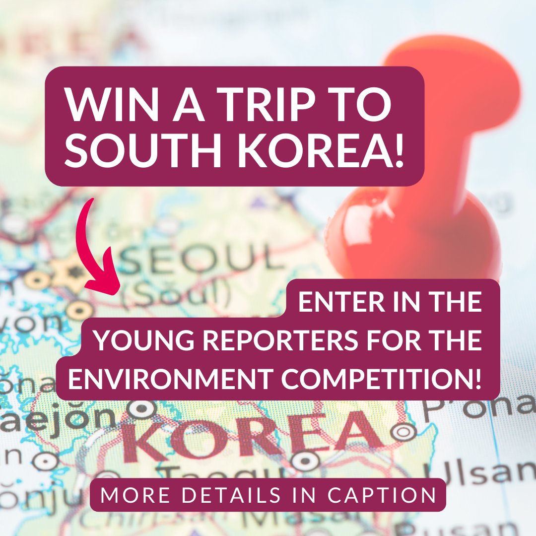 Win a trip to South Korea! 🌍✈️Winners of this years 18-25 category competition will be entered into our International YRE Competition where 5 global winners will join the global gathering of Eco Schools, LEAF, and YRE programmes.Enter now for your chance! Contact us for details.