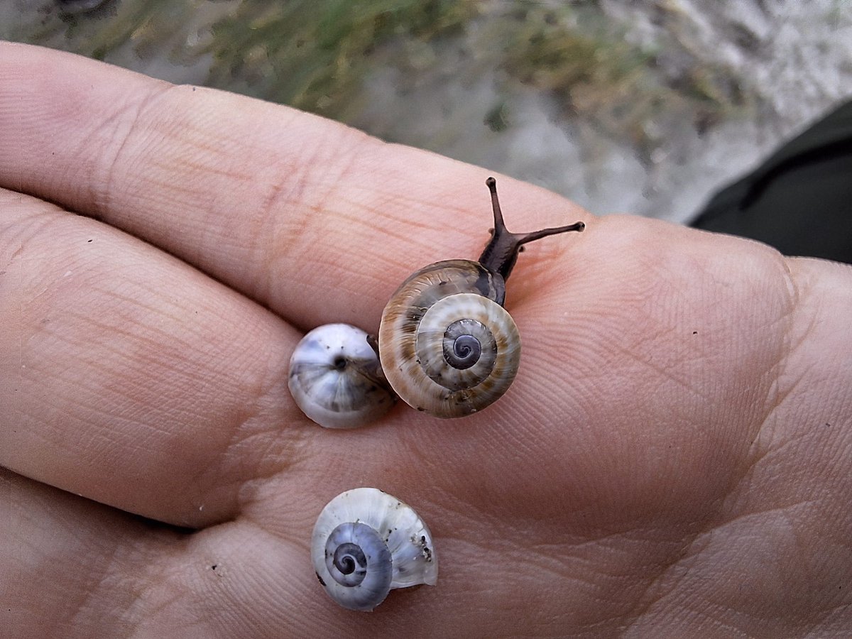 Stephen Hutton tweet media