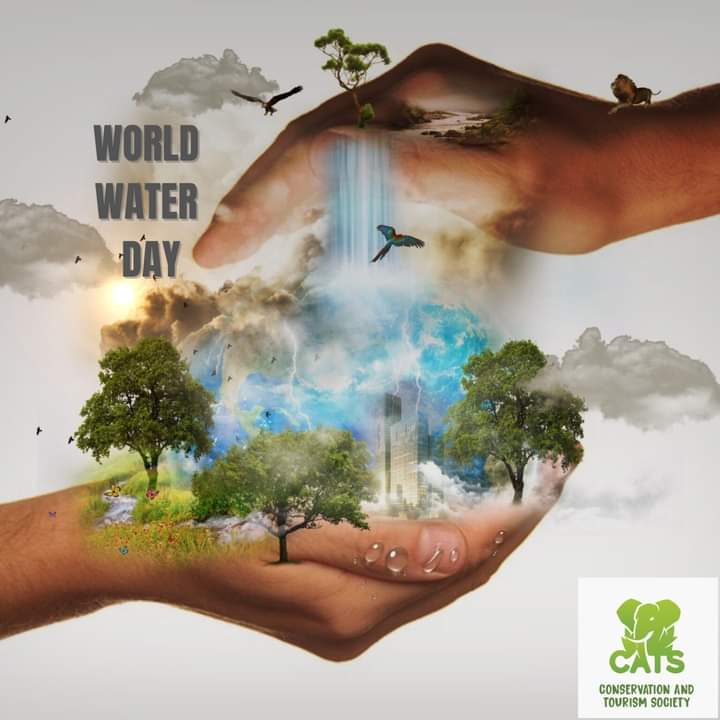 WORLD WATER DAY!

On a day like this, we just want to take time to remind people that water is as precious to us as it is to our wildlife. We are currently experiencing a drought, and believe or not, our animal friends are having it hard too.... 
#Conserve