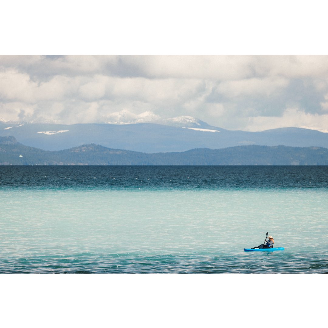 robinferand's tweet photo. Herring run on Vancouver Island, BC

#Herringrun #vancouverisland #shotoncanon #britishcolumbia https://t.co/HMnWgYTZDx