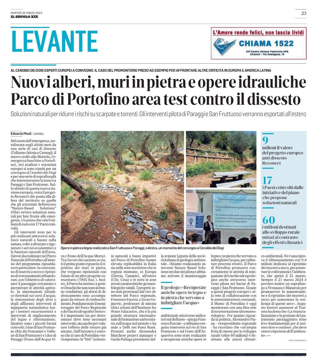 RECONECT tweet media