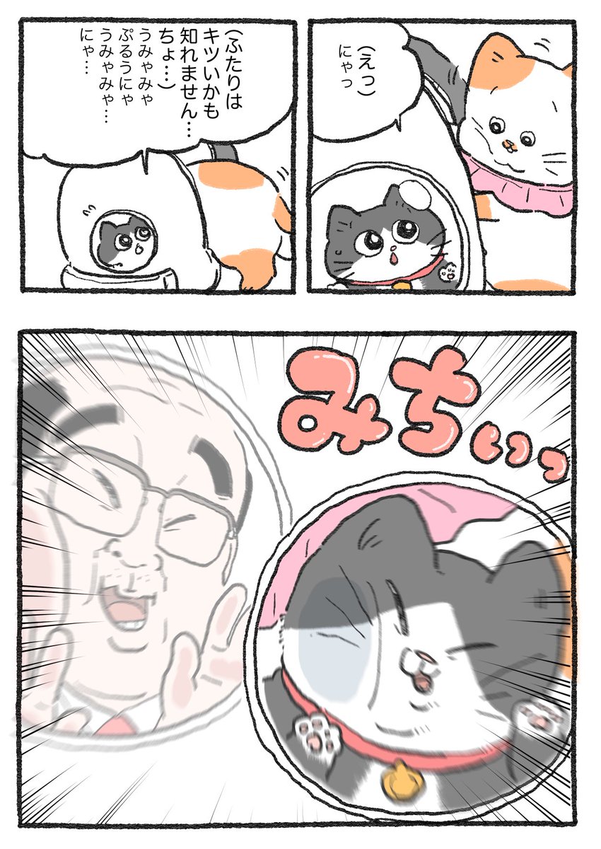 ねこに転生したおじさん。その412