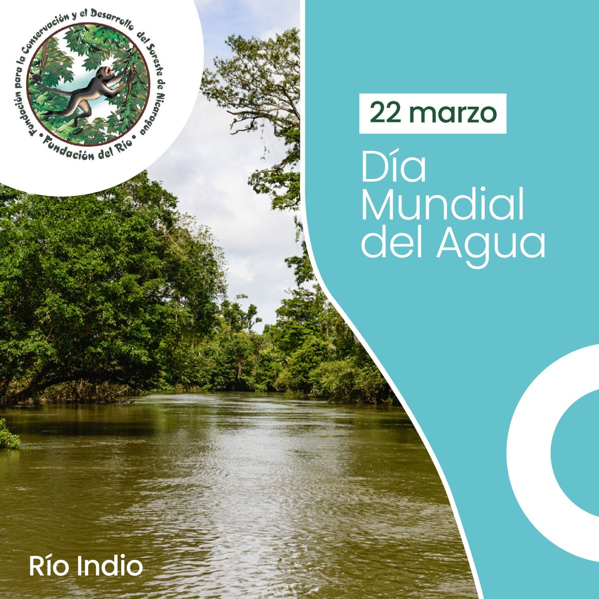 En el Día Mundial del Agua, adoptamos el lema 'Agua para la paz'. Instamos a unir esfuerzos a través de acciones locales para promover la armonía entre las comunidades mediante el uso justo y sostenible del agua #AguaparalaPaz #Agua #Nicaragua