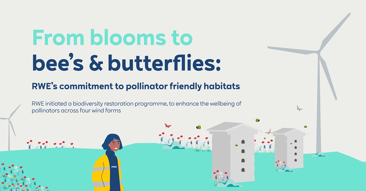 RWE's pioneering biodiversity project at UK & Ireland wind farms boosts pollinator health, challenging mowing norms with vibrant summer blooms. Partnering with conservation trusts, we're seeing rare bumblebees thrive at Little Cheyne Court. uk.rwe.com/press-and-news… #BeeTheChange