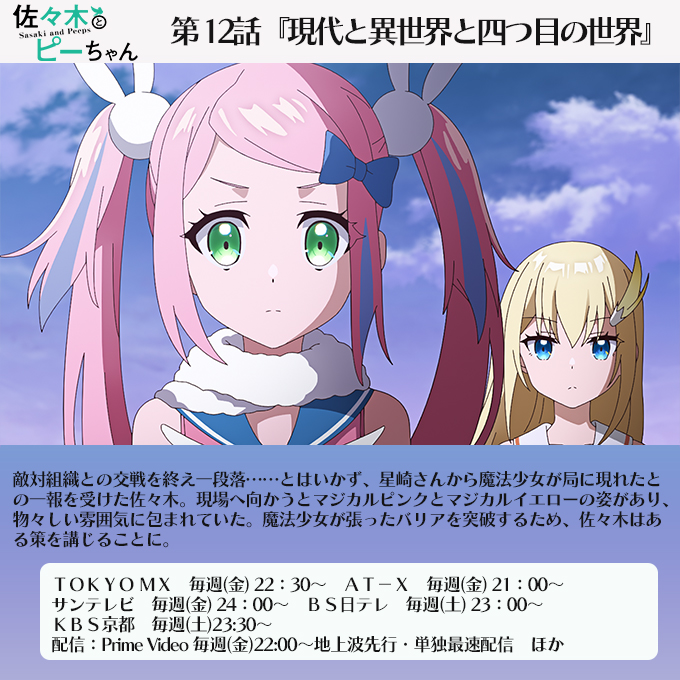 🕊️―――― このあとすぐ 👔放送開始👔 ――――🕊️―――― 佐々木とピーちゃん