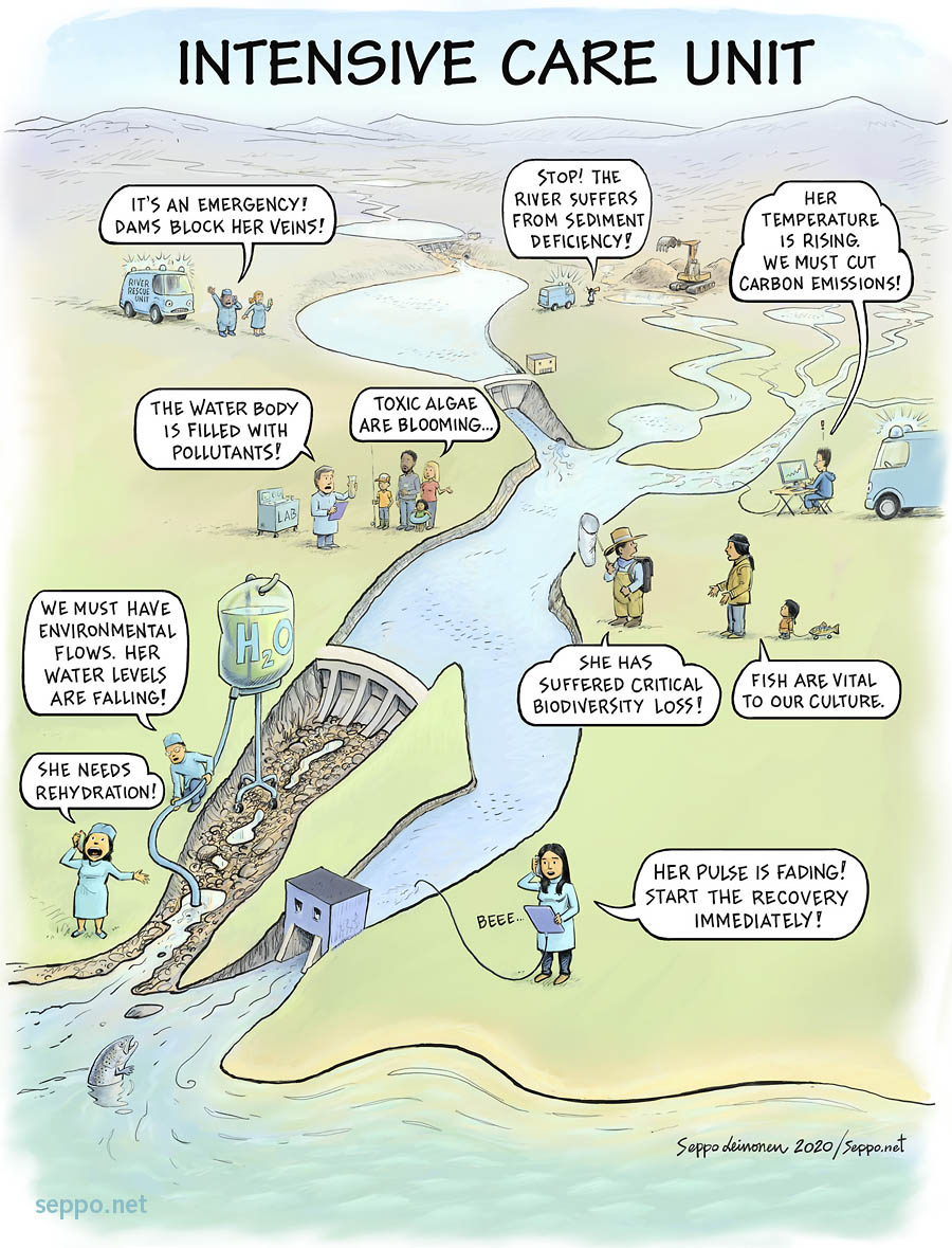 Seppo mstdn.social/@sepponet tweet media