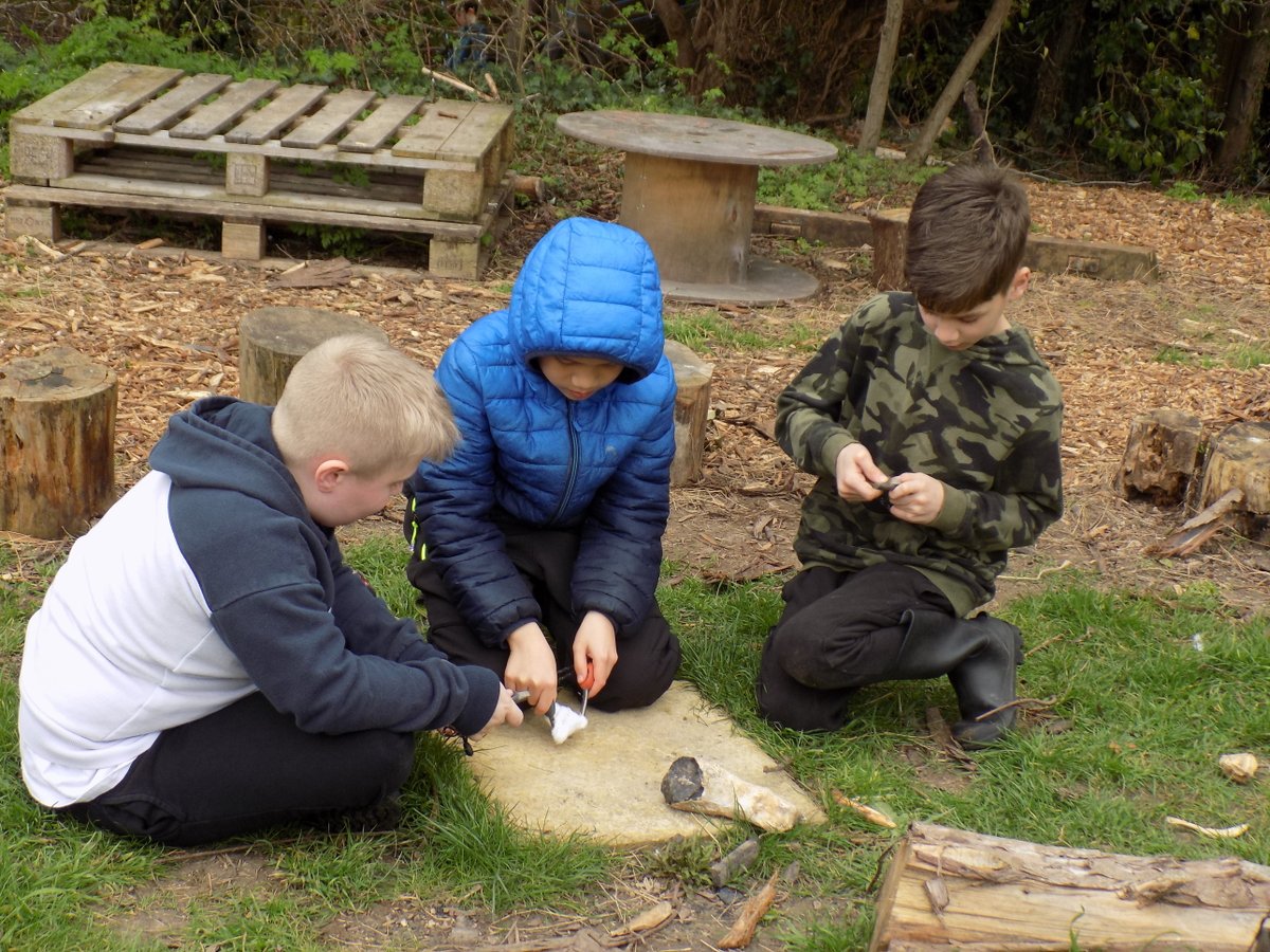 Westlands Primary tweet media